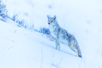 _MF_2133-Edit