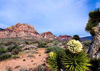 _V3A0627-Edit