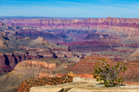 _MF_0263-Edit