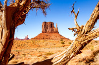 _MF_2086-Edit