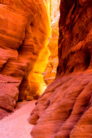 _CC_7737-Edit