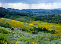 Nevada Outdoors