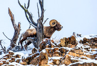_MF_1799-Edit