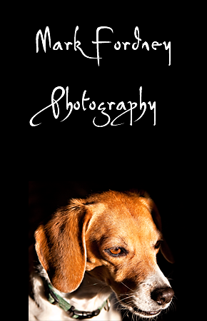 Mark Fordney Photography